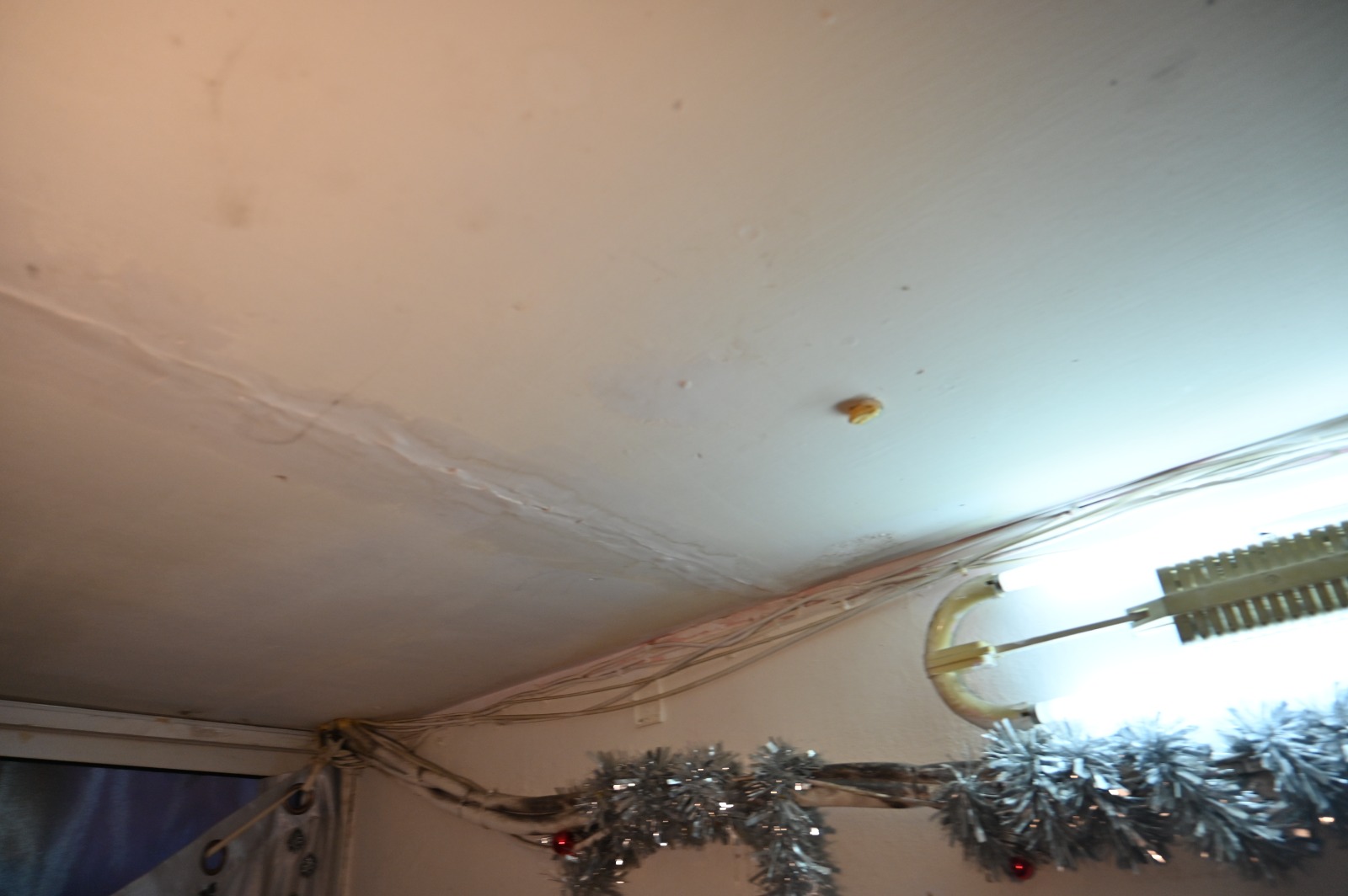 WhatsApp Image 2022-03-06 at 8.45.32 PM.jpeg